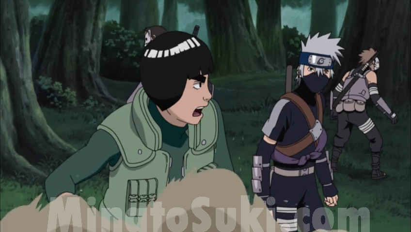 Naruto Shippuuden episode 349